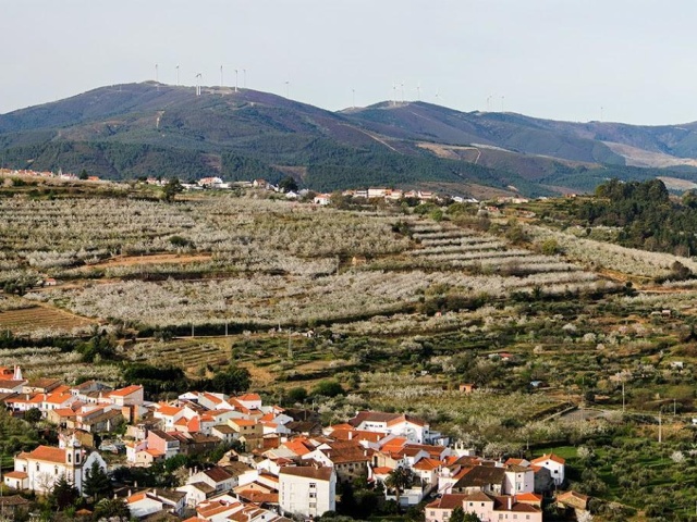 Casa do Guarda | Alcongosta