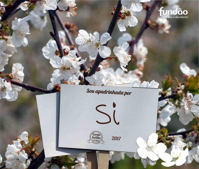 Apadrinhar uma Cerejeira