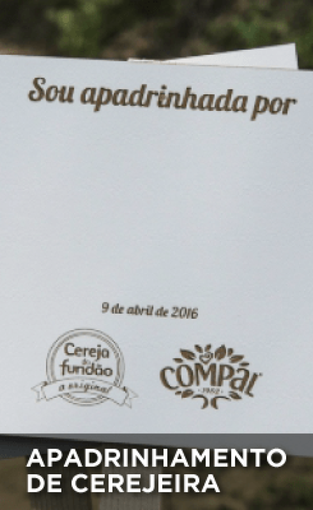 Apadrinhamento de Cerejeira