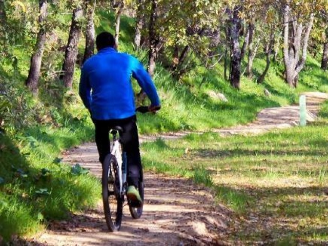 Aluguer de bicicletas 