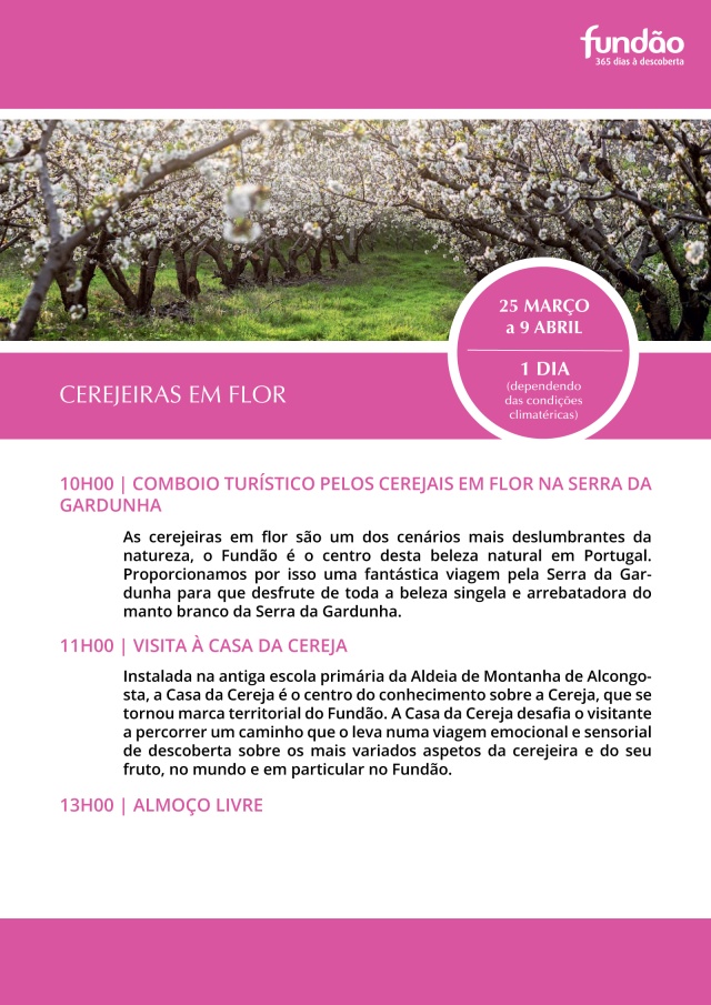 Cerejeiras em Flor ( Natureza )