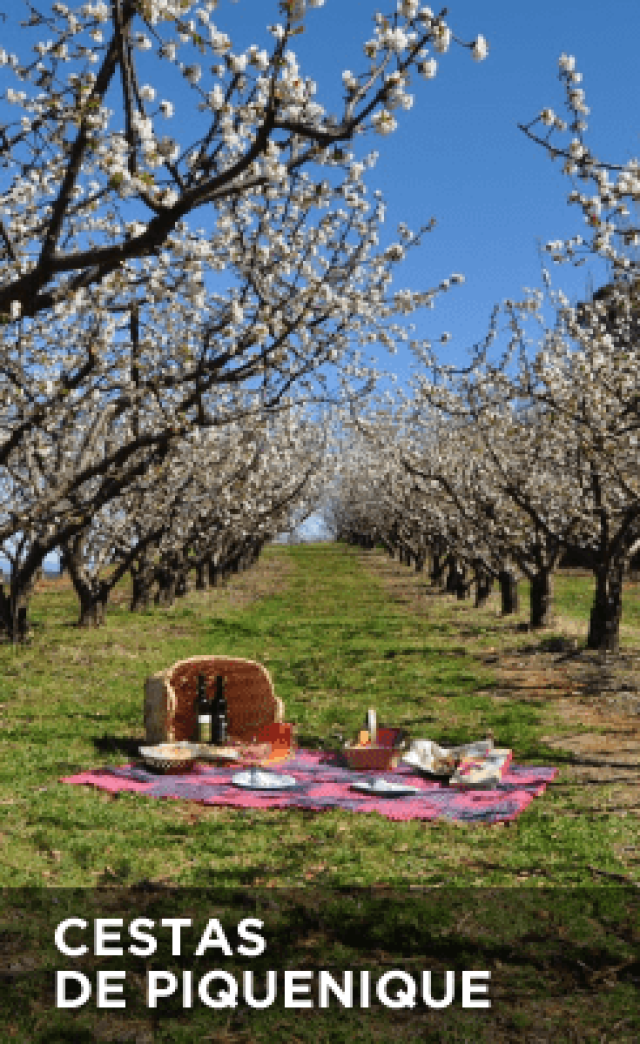 Cestas Piquenique 