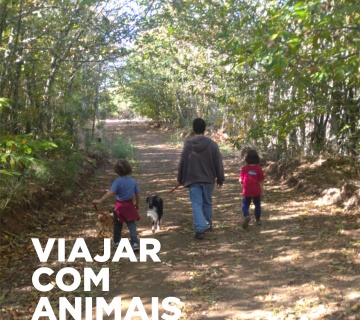 Viajar com animais
