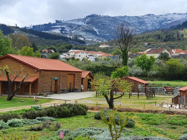 Quinta Pedagógica | Fundão
